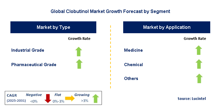 Clobutinol Market by Segment