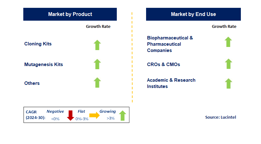 Cloning and Mutagenesis by Segment