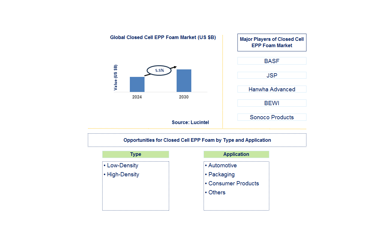 Closed Cell EPP Foam Trends and Forecast