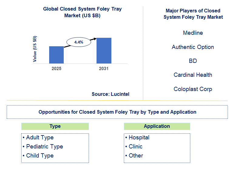 Closed System Foley Tray Market Trends and Forecast