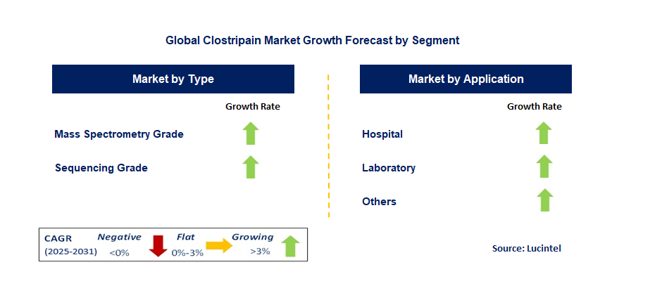 Clostripain Market by Segment