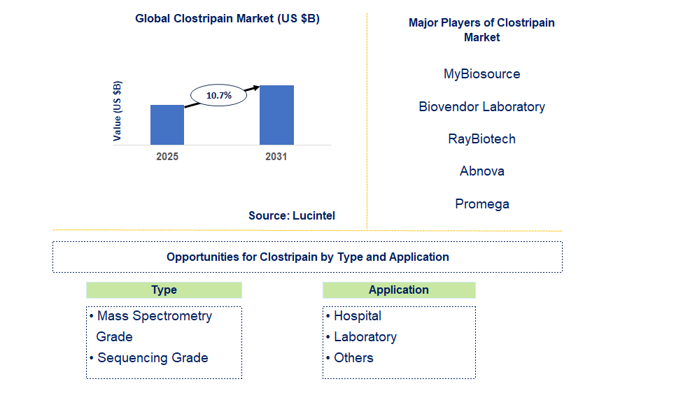 Clostripain Market Trends and Forecast