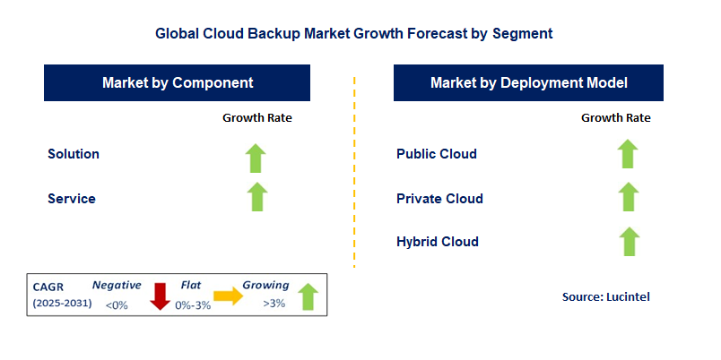 Cloud Backup Market by Segment