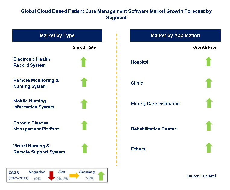 Cloud Based Patient Care Management Software Market by Segment