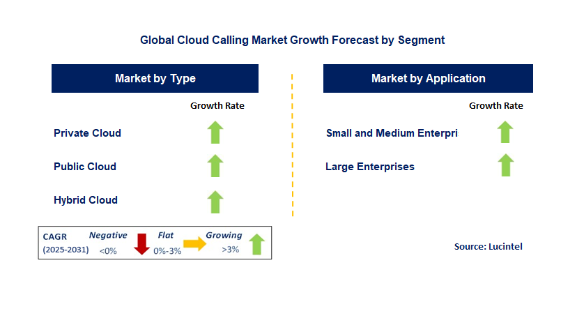 Cloud Calling Market by Segment
