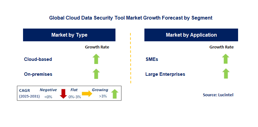 Cloud Data Security Tool Market by Segment