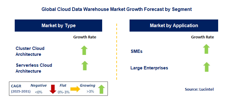 Cloud Data Warehouse Market by Segment