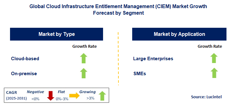Cloud Infrastructure Entitlement Management (CIEM) Market by Segment