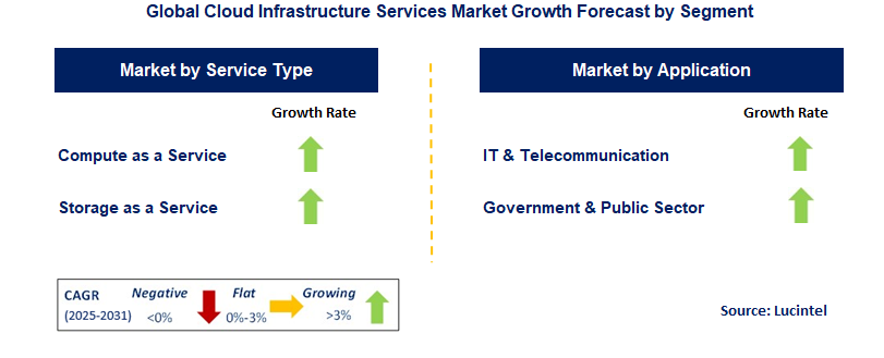Cloud Infrastructure Services Market by Segment