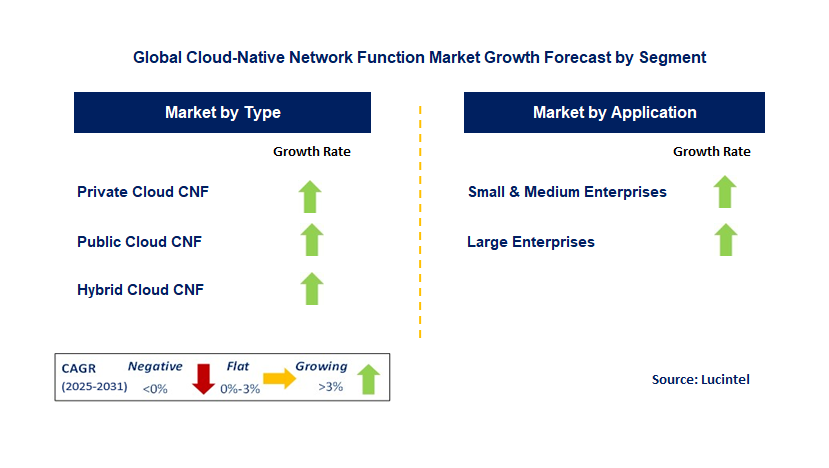 Cloud-Native Network Function Market by Segment