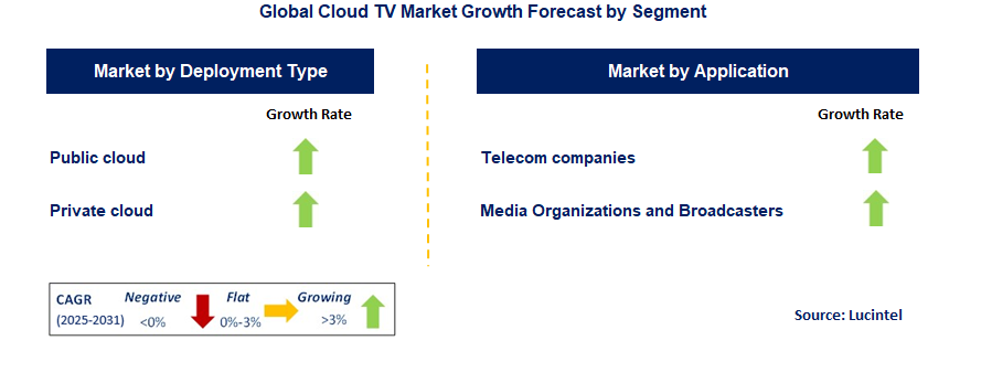 Cloud TV Market by Segment