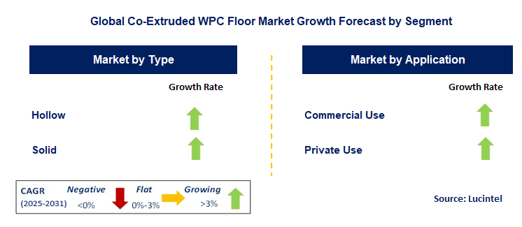 Co-Extruded WPC Floor Market by Segment