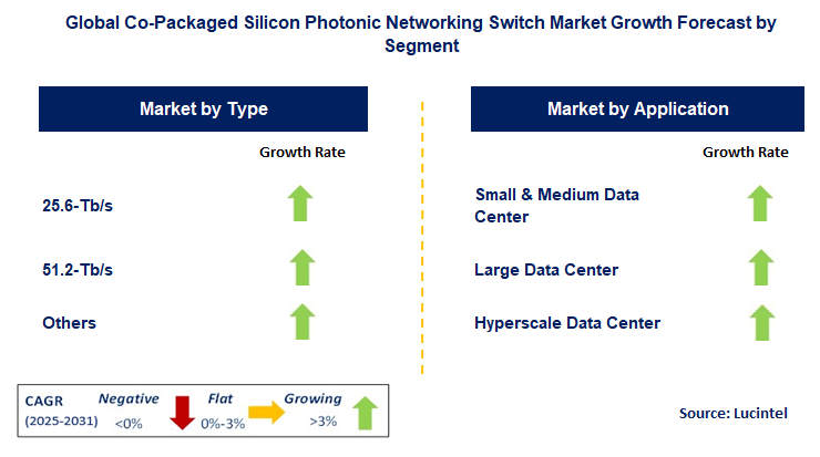 Co-Packaged Silicon Photonic Networking Switch Market by Segment