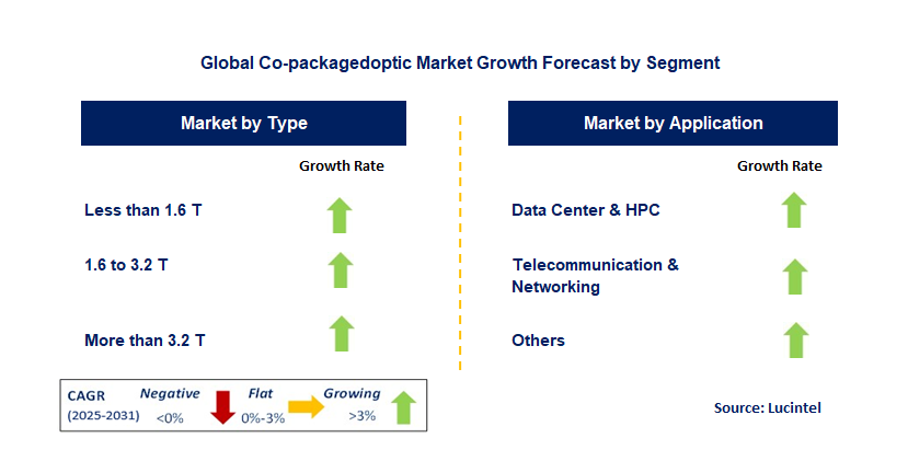 Co-packagedoptic Market by Segment