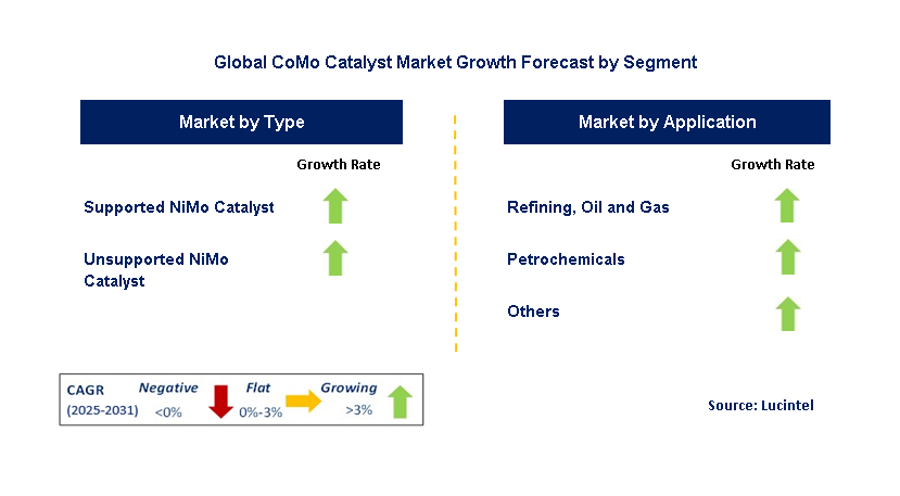 CoMo Catalyst Market by Segment