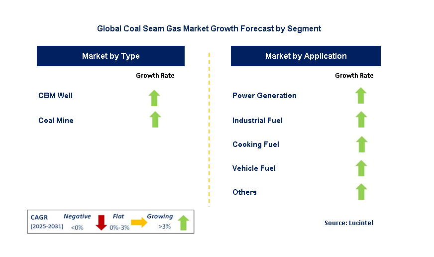 Coal Seam Gas Market by Segment