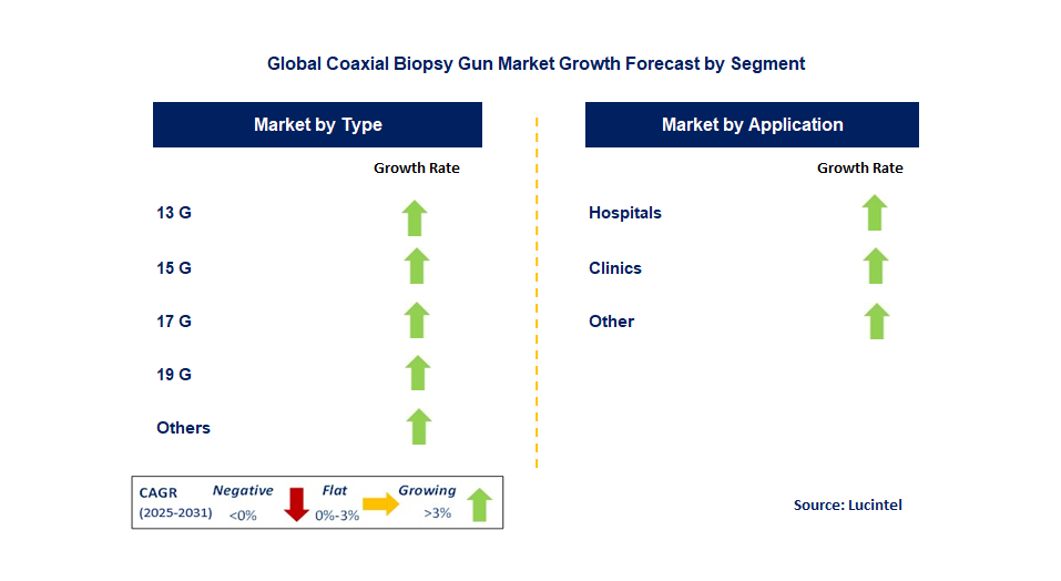 Coaxial Biopsy Gun Market by Segment