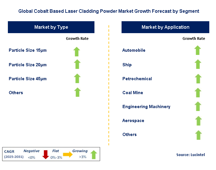 Cobalt Based Laser Cladding Powder Market by Segment