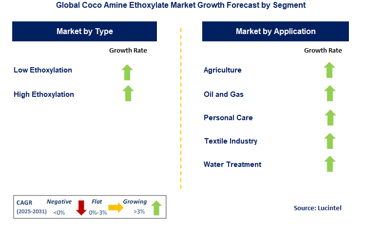 Coco Amine Ethoxylate Market by Segment