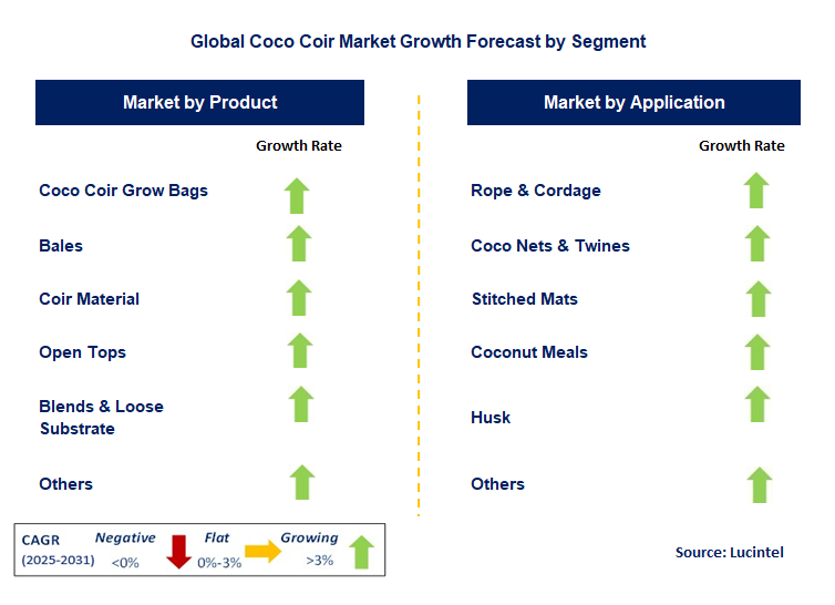 Coco Coir Market by Segment