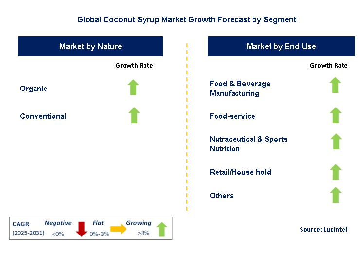 Coconut Syrup Market by Segment