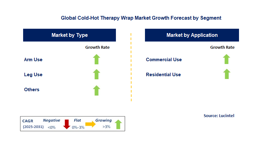 Cold-Hot Therapy Wrap Market by Segment