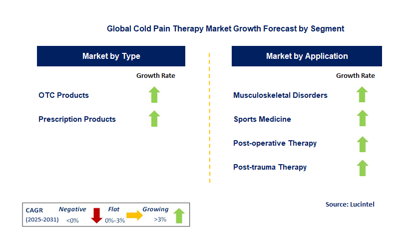 Cold Pain Therapy Market by Segment