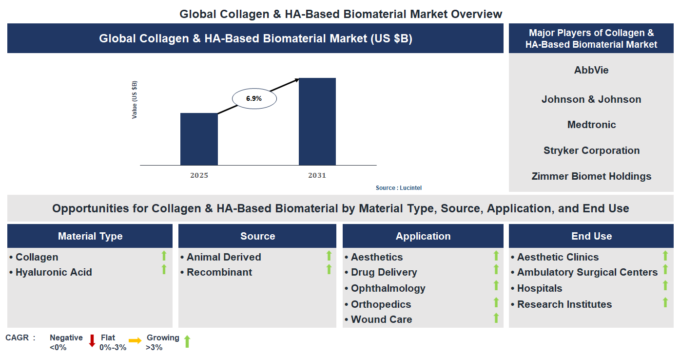 Collagen & HA-Based Biomaterial Market Trends and Forecast