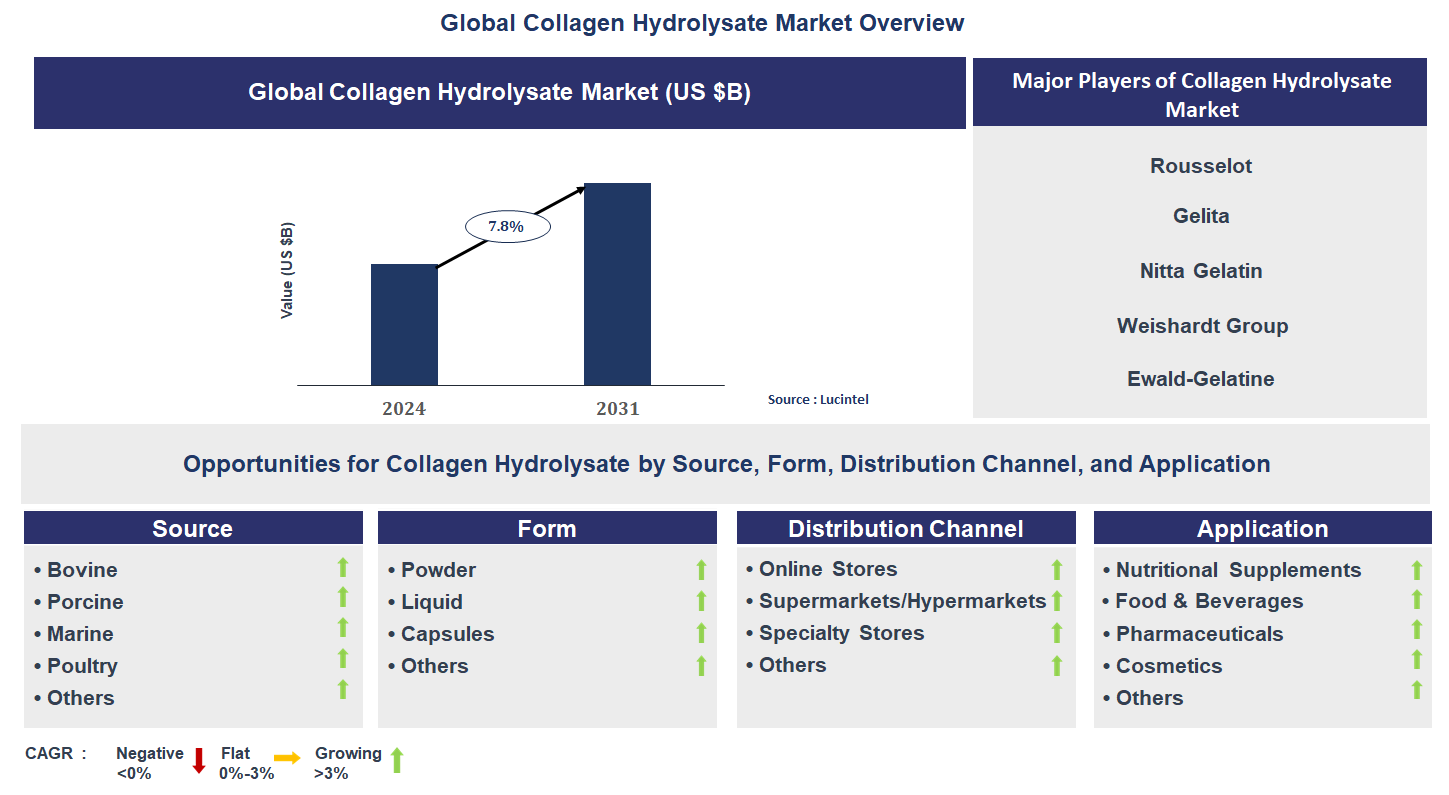 Collagen Hydrolysate Market Trends and Forecast
