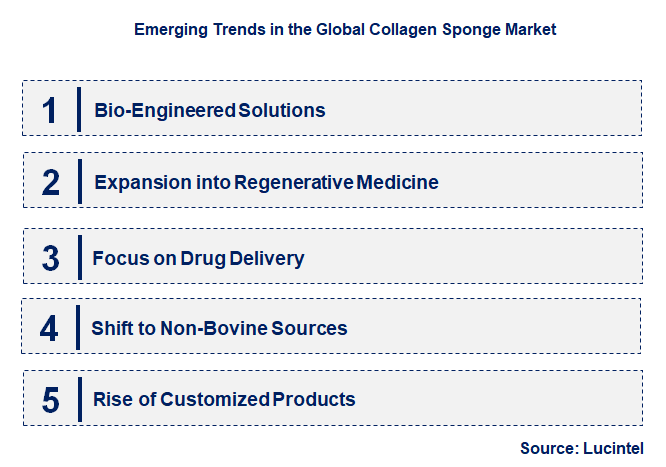 Emerging Trends in the Collagen Sponge Market