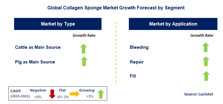 Collagen Sponge Market by Segment