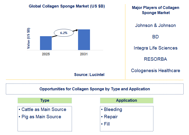 Collagen Sponge Market Trends and Forecast