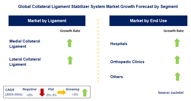 Collateral Ligament Stabilizer System Market by Segment