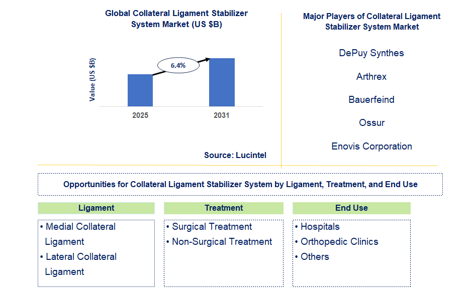 Collateral Ligament Stabilizer System Market Trends and Forecast