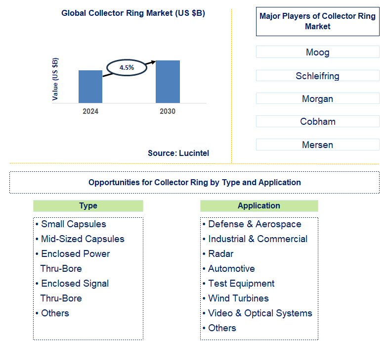 Collector Ring Trends and Forecast