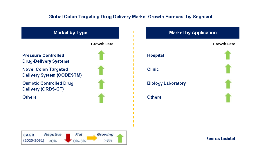 Colon Targeting Drug Delivery Market by Segment