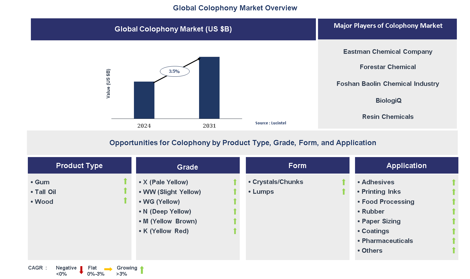 Colophony Market Trends and Forecast