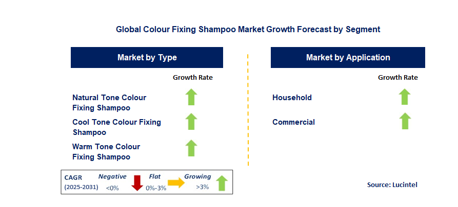 Colour Fixing Shampoo Market by Segment