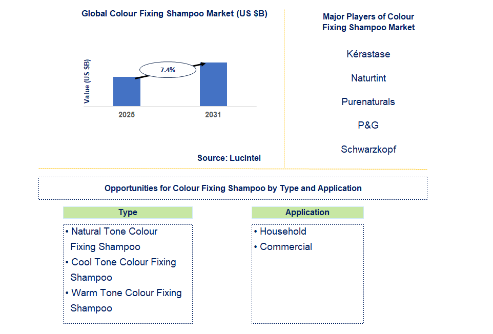 Colour Fixing Shampoo Market Trends and Forecast