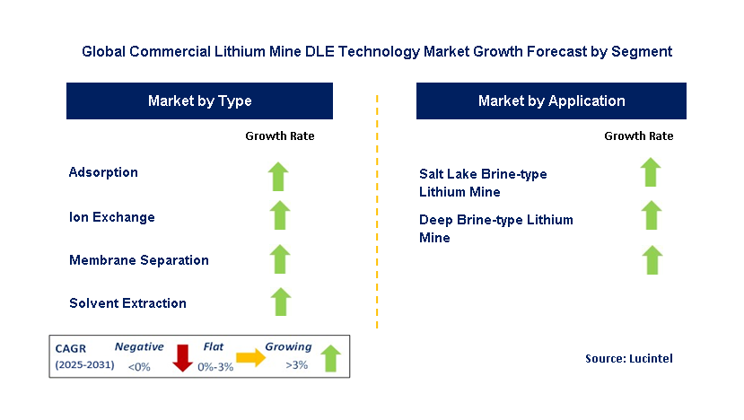 Commercial Lithium Mine DLE Technology Market by Segment