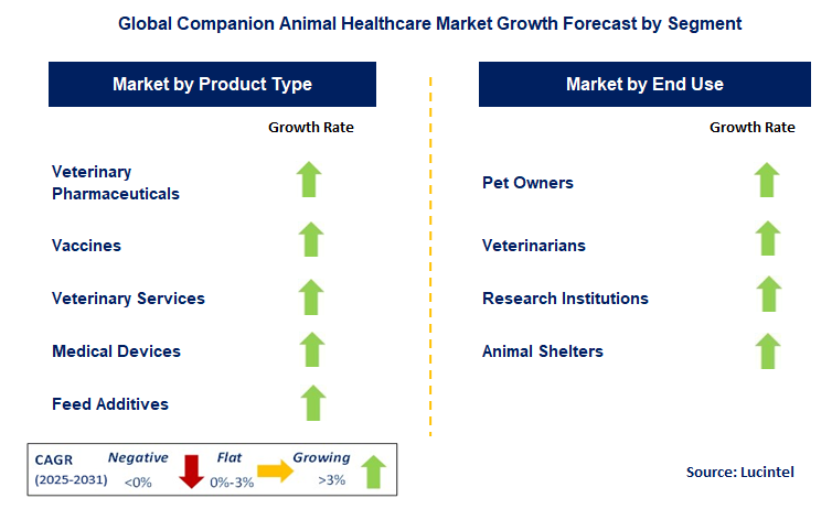 Companion Animal Healthcare Market by Segment