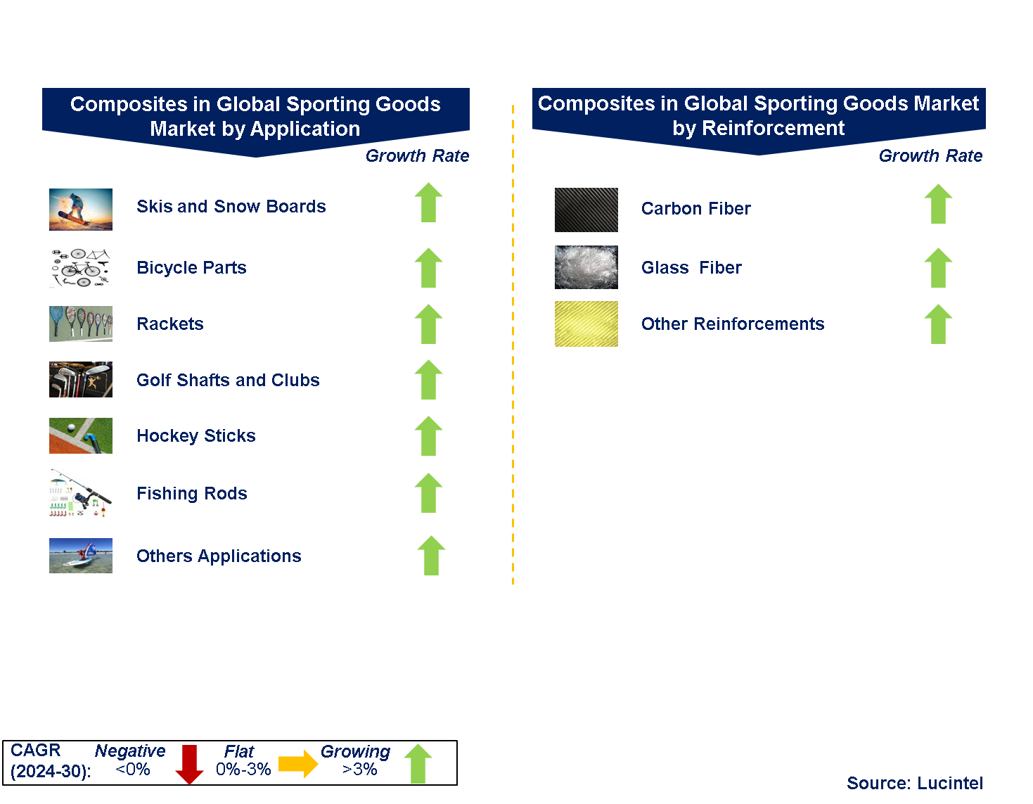 Composites in Sporting Goods Market by Segments