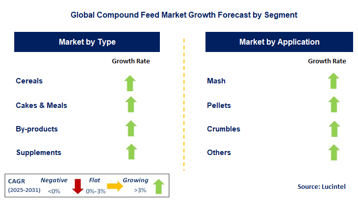 Compound Feed Market by Segment