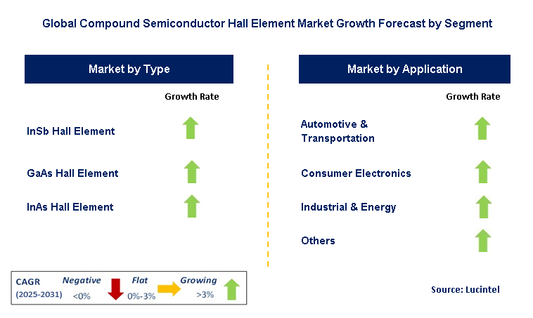 Compound Semiconductor Hall Element Market by Segment