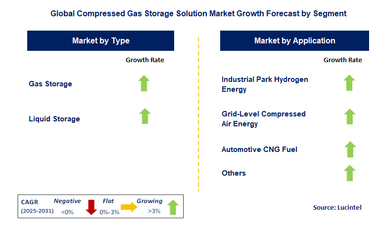 Compressed Gas Storage Solution Market by Segment