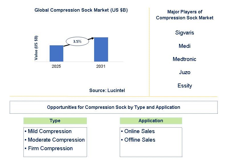 Compression Sock Market Trends and Forecast