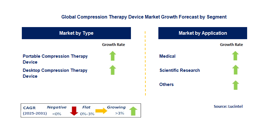 Compression Therapy Device Market by Segment