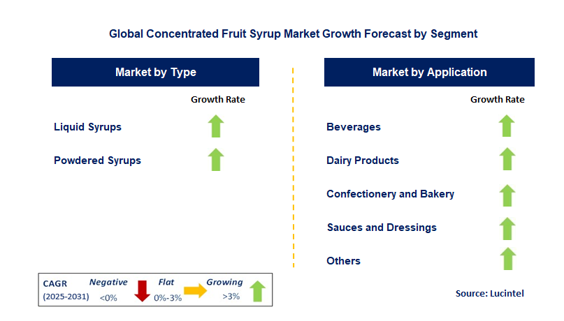 Concentrated Fruit Syrup Market by Segment