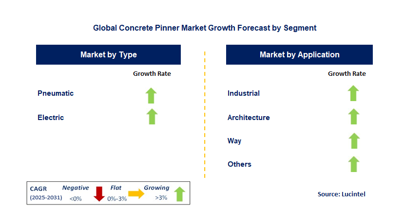 Concrete Pinner Market by Segment