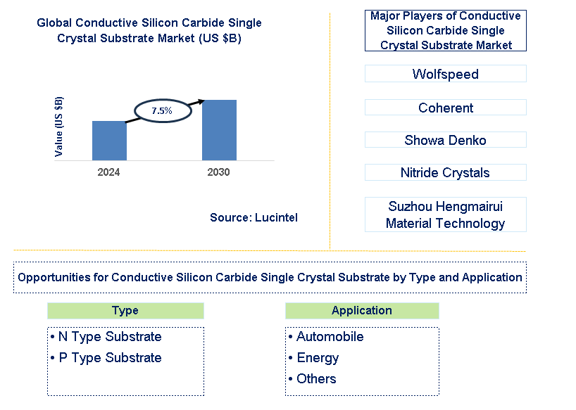 Conductive Silicon Carbide Single Crystal Substrate Trends and Forecast